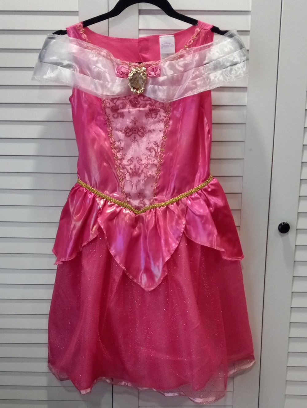 Disney Sleeping Beauty Pink and Gold Princess Dress Costume